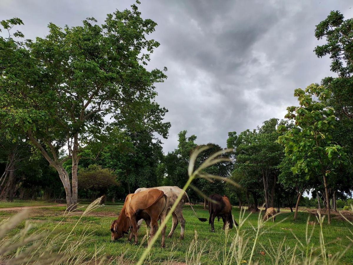 Naracha Resort Mueang Kao Zewnętrze zdjęcie