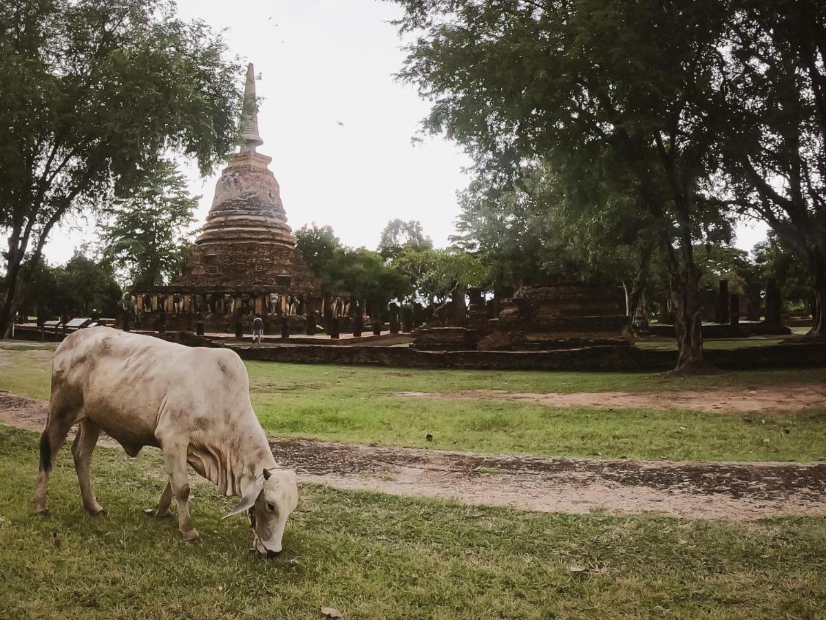 Naracha Resort Mueang Kao Zewnętrze zdjęcie